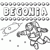 Begonia