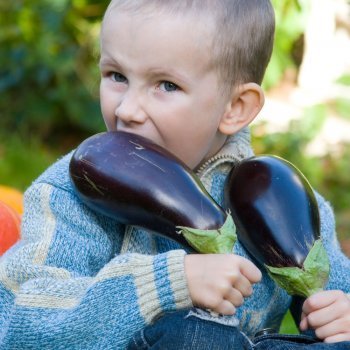 Recetas de berenjenas, sanas y ligeras para niños