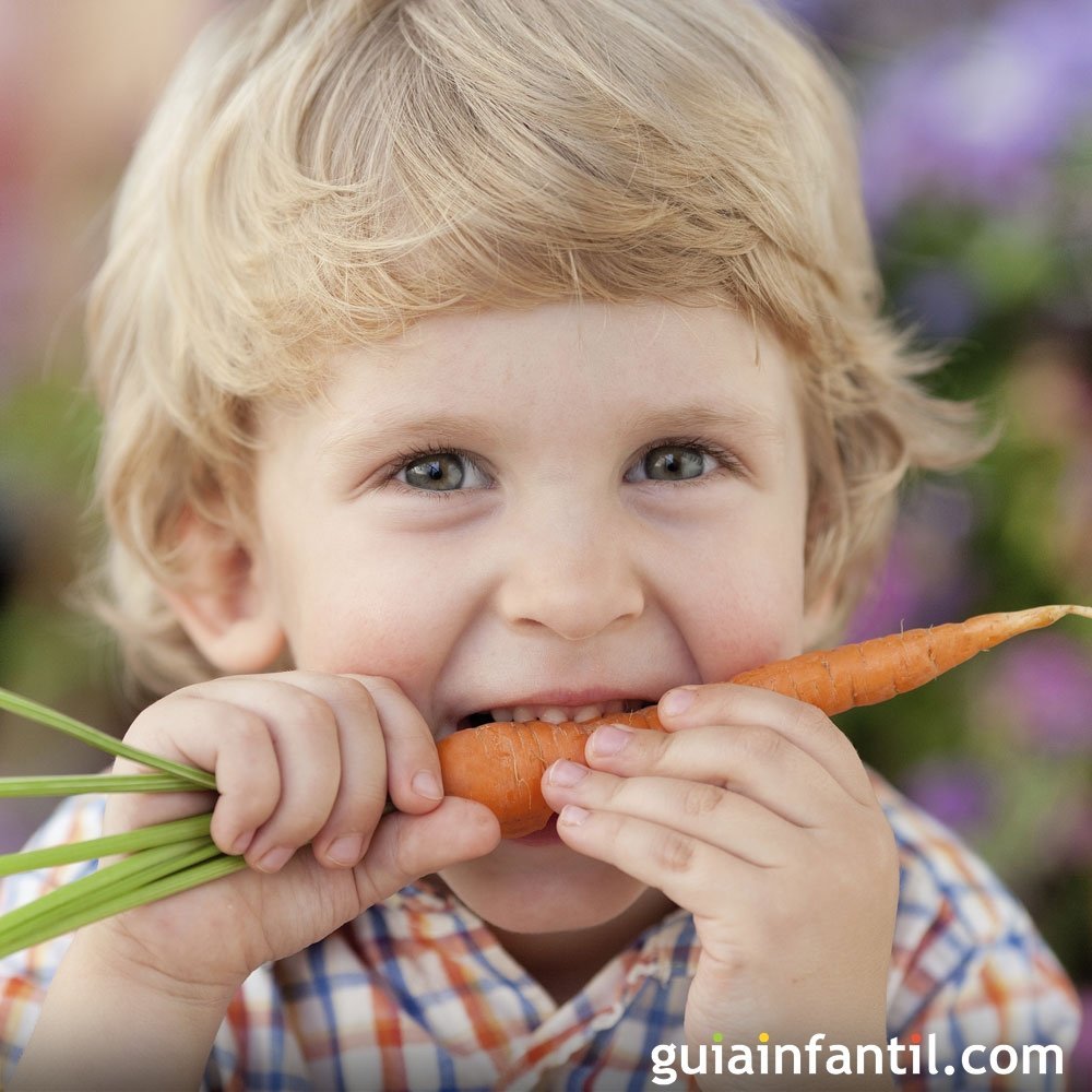 Recetas con zanahoria, dulces y saladas para niños