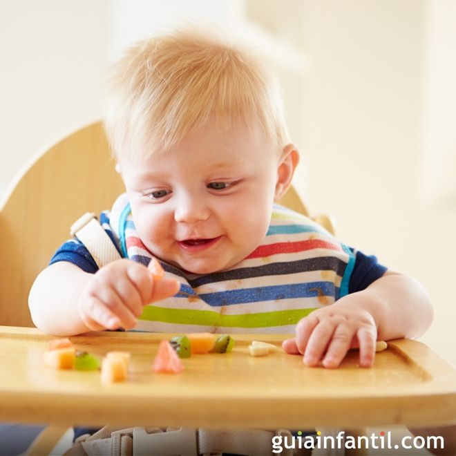 Recetas Para Bebes De 18 Meses