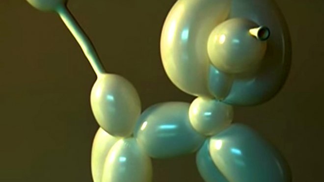 Un perrito caniche. Aprende a hacer figuras con globos