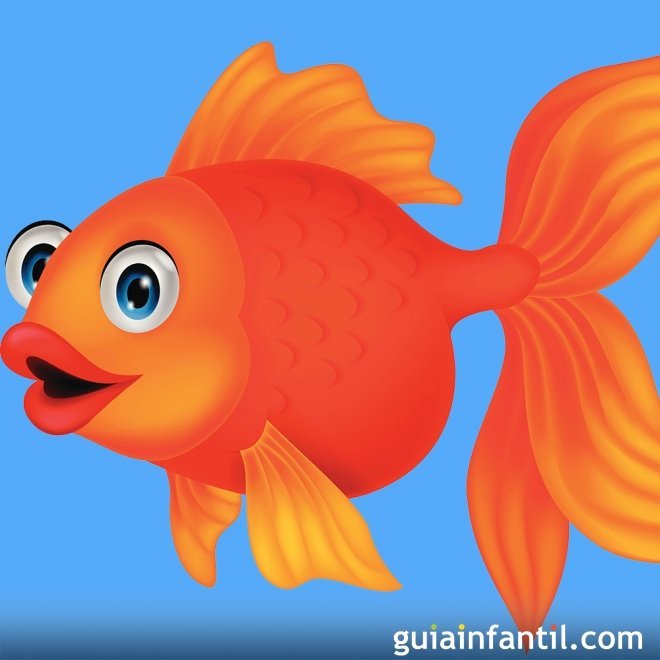 Lengua de signos. Aprende los animales acuáticos