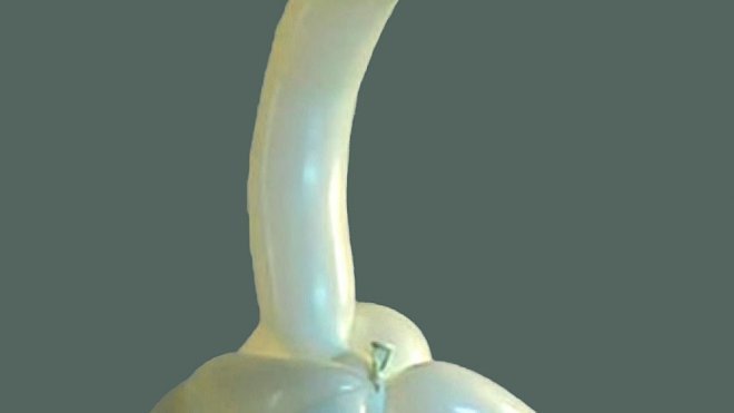 Jugar con globos a hacer un cisne con los niños