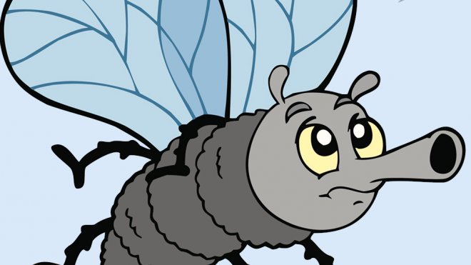 Lengua de signos. Aprende los insectos