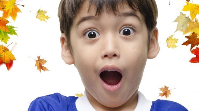 Vocabulario de primavera y otoño en la lengua de signos para niños