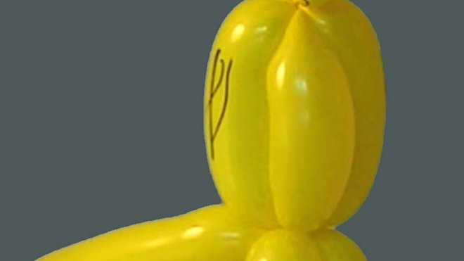 Cómo hacer un loro con globos. Globoflexia para niños