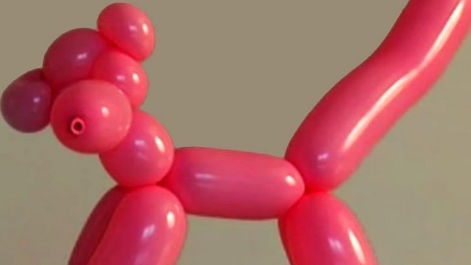 Aprende a hacer la Pantera Rosa con globos. Globoflexia