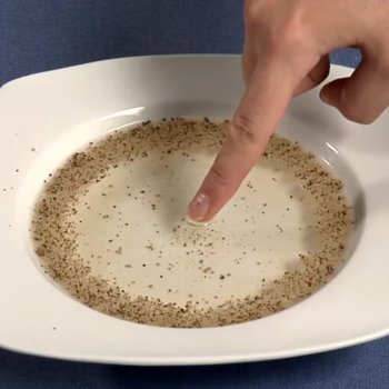 Ciencia para niños. La pimienta que huye