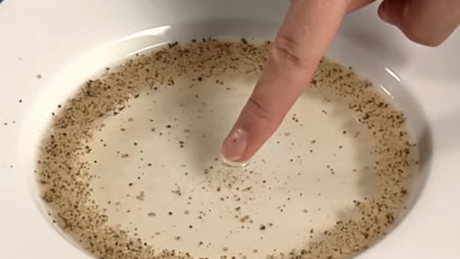 Ciencia para niños. La pimienta que huye