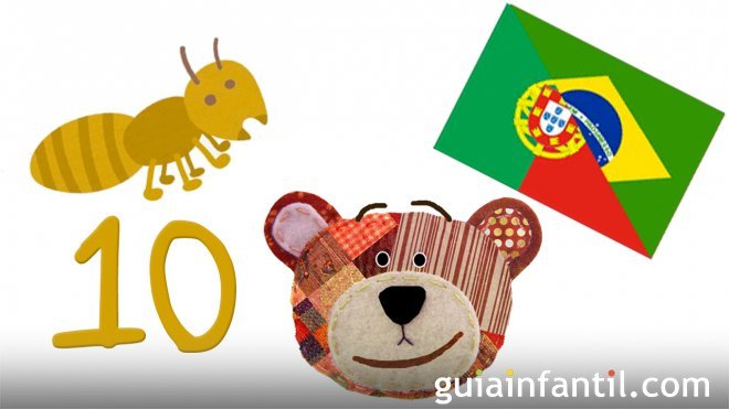 Cuenta en portugués. Aprende los números con Traposo
