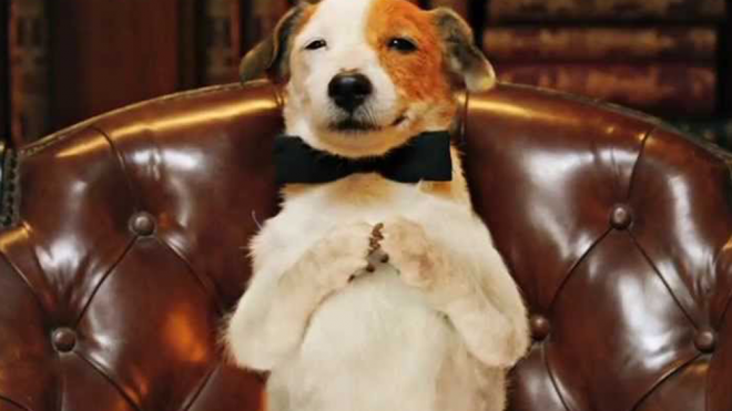 Pancho el perro millonario - Película para niños