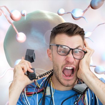 Qué problemas afectan a la producción de espermatozoides