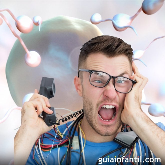 Qué problemas afectan a la producción de espermatozoides