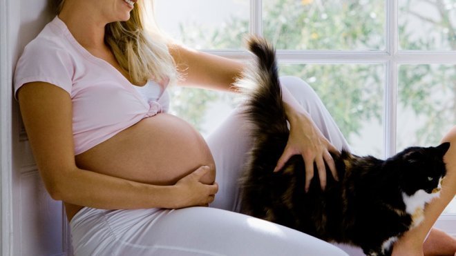 Qué es la toxoplasmosis y cómo afecta al feto en el embarazo