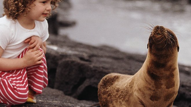 Las preguntas de los niños sobre los osos marinos