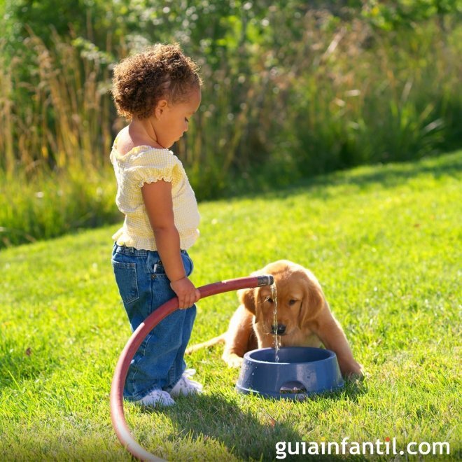 Look after your pet. Ребенок на даче с домашним питомцем. Домашние питомцы для аллергиков. Собака которая подходит детям. Как научить собаку играть с игрушками.