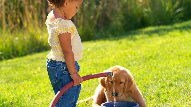 Una niña nos enseña cómo se refresca a un perro en verano