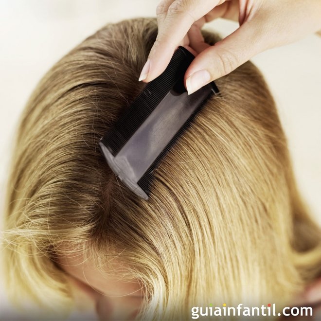 La importancia de detectar los piojos a tiempo