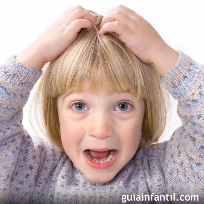 Detectar piojos en los niños, vídeo práctico de cómo revisar la cabeza