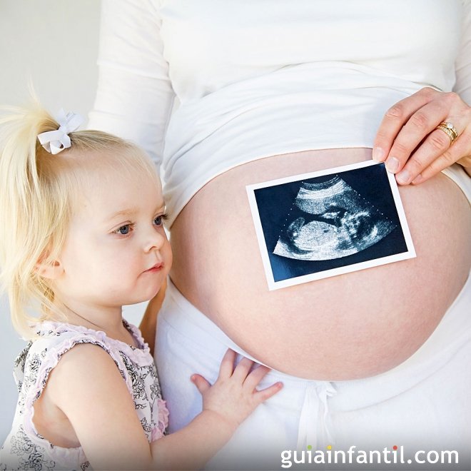 De dónde vienen los niños, cómo explicarlo a tu hijo