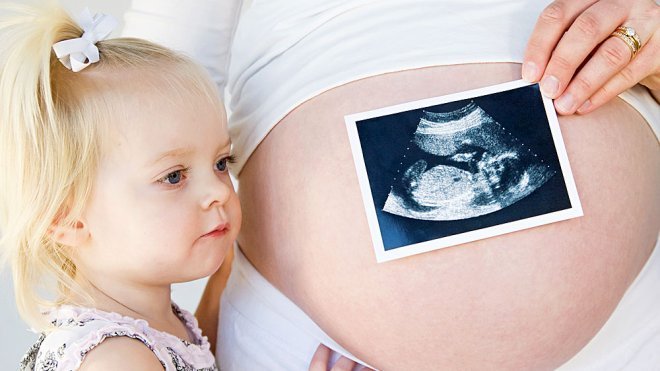 De dónde vienen los niños, cómo explicarlo a tu hijo