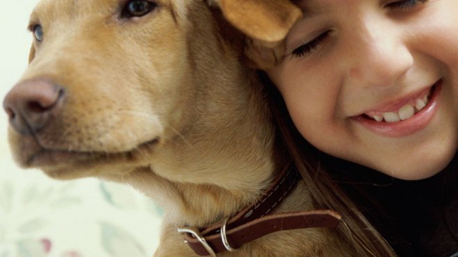 Miedo a los perros y otros animales en los niños