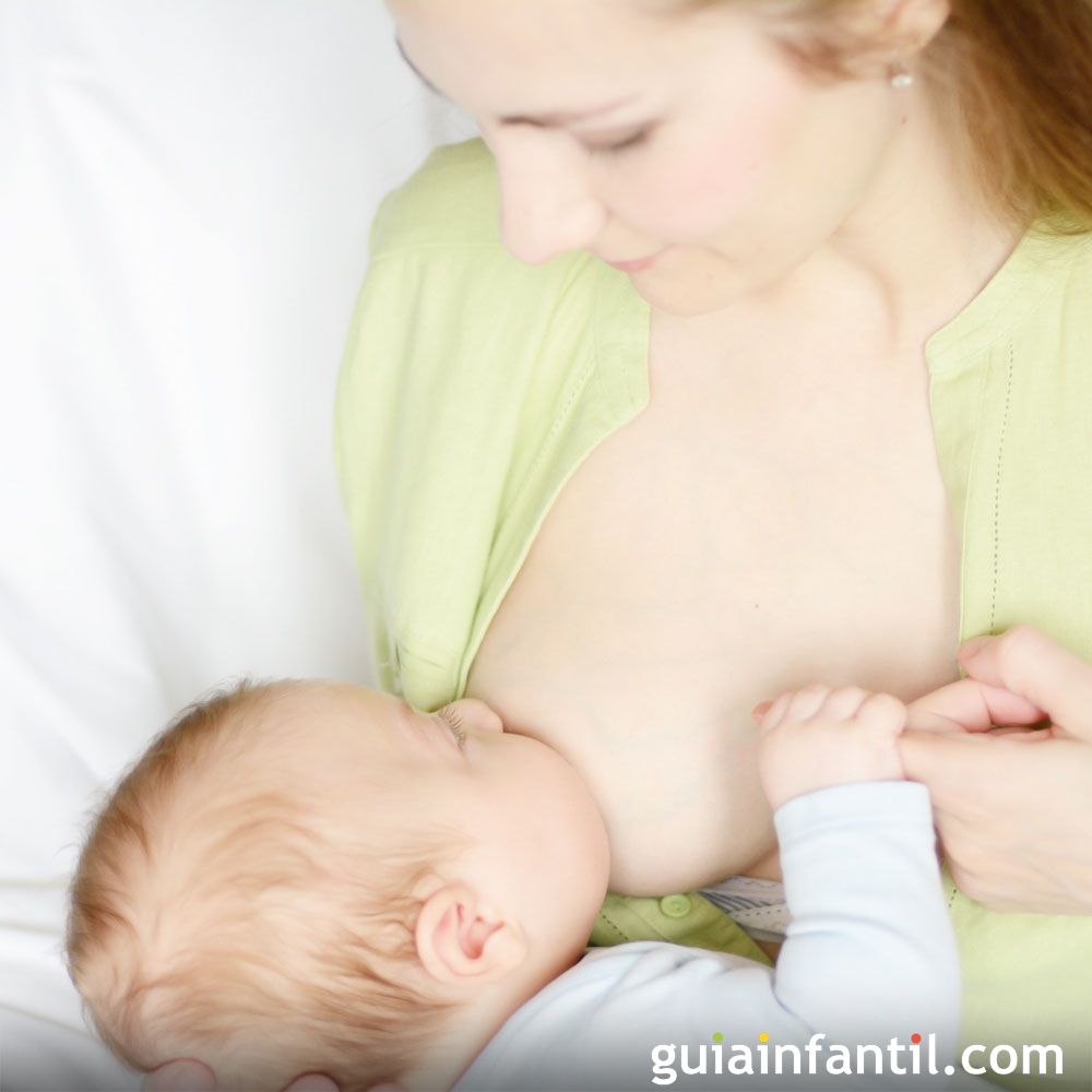 regular Operation possible Orchard Alimentos que no deben comer las madres durante la lactancia