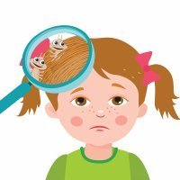 Qué son los piojos y liendres y cómo se contagian