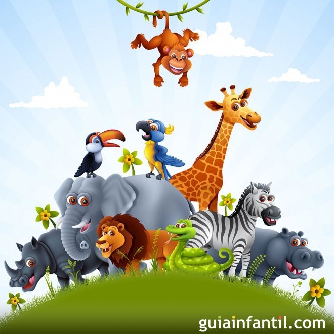 Lengua de signos. Aprende los animales