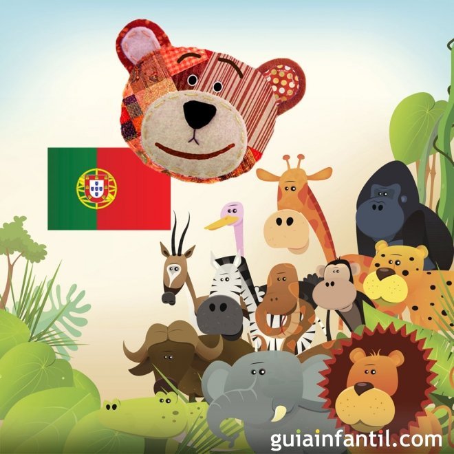 Aprende el nombre de los animales de la selva en portugués