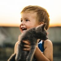 Un gato defiende a un bebé de su niñera