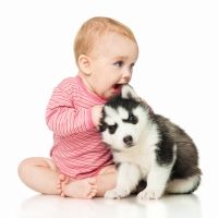Risa contagiosa de un bebé jugando con su perro