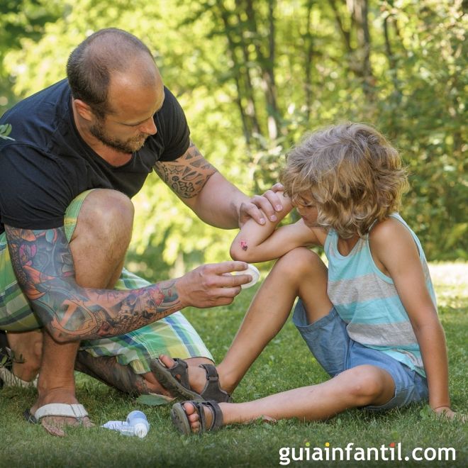 Qué función tienen los antisépticos para curar una herida