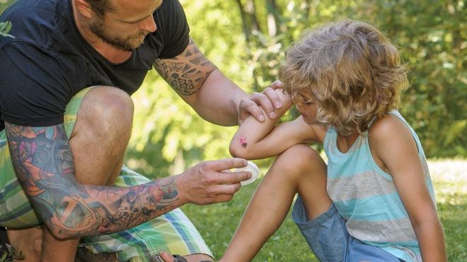 Qué función tienen los antisépticos para curar una herida