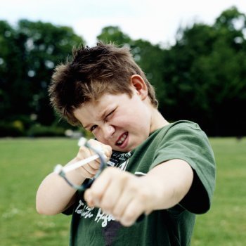 Perfil del niño acosador