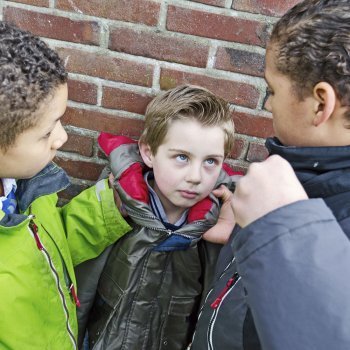 Perfil de las víctimas de acoso