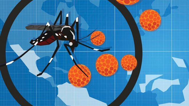 Preguntas y respuestas sobre el virus Zika