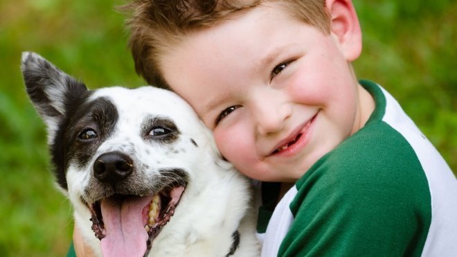 El vínculo entre los niños y los animales