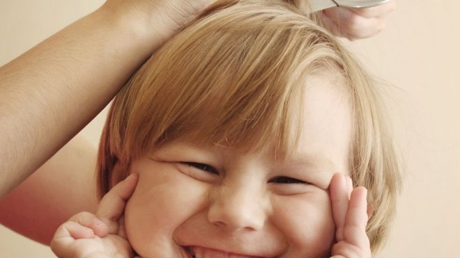 10 curiosidades sobre los piojos en la infancia