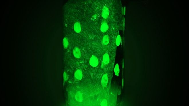 Cómo hacer un frasco fluorescente que brilla en la oscuridad