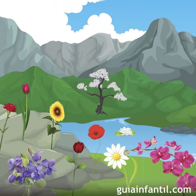 Adivinanzas de flores para los niños. Concurso infantil