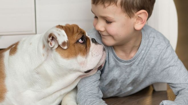 Las mejores mascotas para los niños