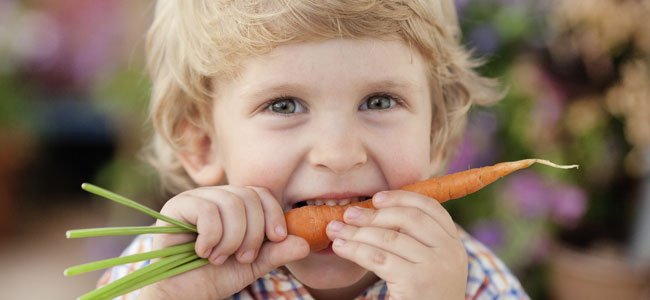 Recetas de zanahorias para niños NIño muerde zanahoria