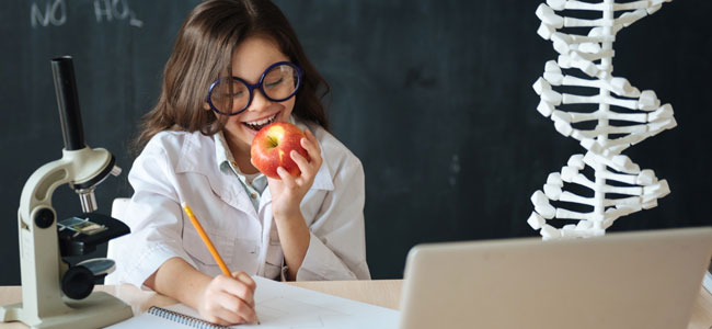 Alimentos que estimulan el cerebro en la infancia