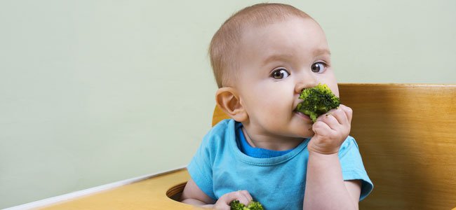 Bebé come brócoli