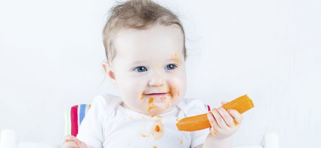 Bebé come zanahoria