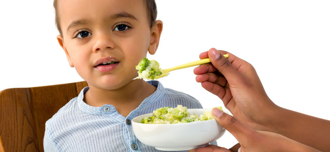 Lograr que los niños sean buenos comedores Lograr que los niños sean buenos comedores