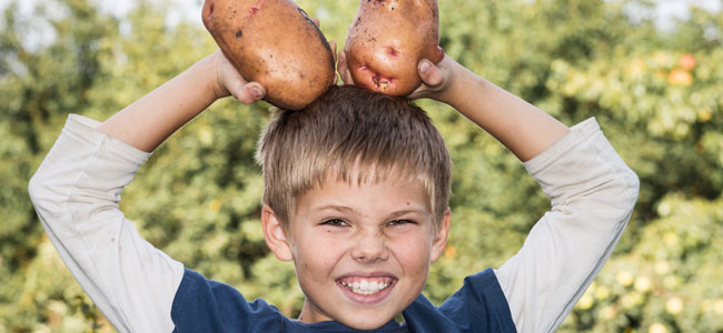 La patata, alimento esencial en la dieta del niño La patata, alimento esencial en la dieta del niño