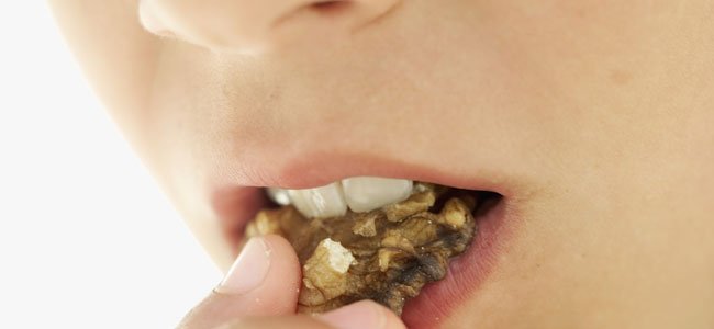 Beneficios de los frutos secos para niños Niño come nuez primer plano