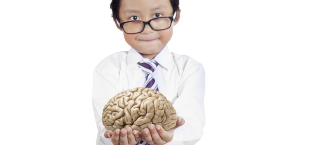 El segundo cerebro en niños y adultos: el estómago